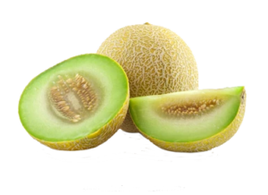 Honey Dew Melon