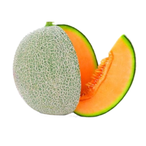 Rock Melon