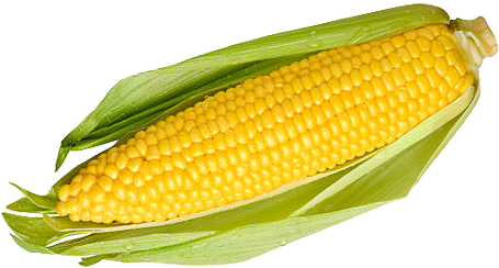 Sweetcorn