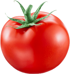 Tomato